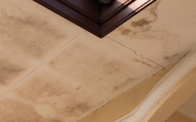 A Comprehensive Guide to Detecting Home Leaks