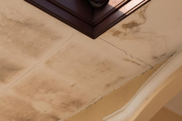 A Comprehensive Guide to Detecting Home Leaks