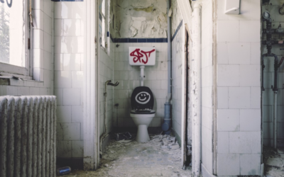 Small Bathroom = Big Problems: What’s the Solution?